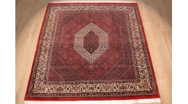 Persian carpet Bidjar square oriental rug 210x202 cm