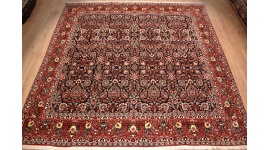 Persian carpet Bidjar square oriental rug 310x302 cm