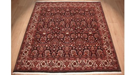 Persian carpet Bidjar square oriental rug 209x202 cm