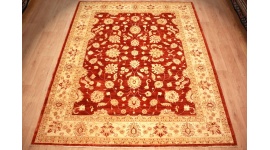 Oriental carpet Ziegler virgin wool 302x250 cm  Red