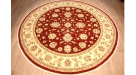 Oriental carpet Ziegler virgin wool305x305 cm Red