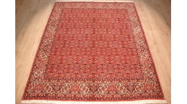 Persian carpet "Bidjar" oriental rug  242x200 cm