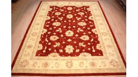 orientteppich_ziegler_64371_modern