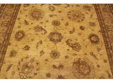 Modern carpet Ziegler virgin wool 240x203 cm