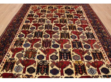 Persian carpet "SIRJAN " wool 245x163 cm