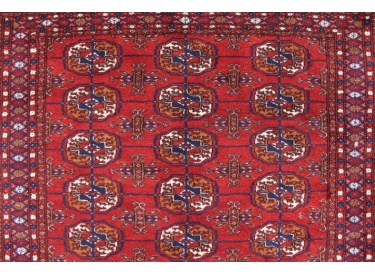 Oriental carpet Bukhara wool 190x125 cm