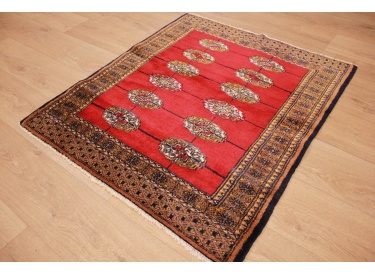 Oriental carpet Bukhara wool 110x95 cm