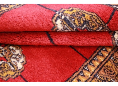 Oriental carpet Bukhara wool 110x95 cm