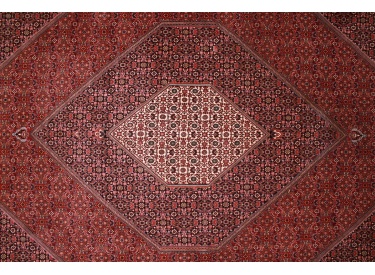Perserteppich "Bijar" Hochflor Teppich 353x300 cm