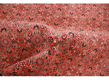 Perserteppich Bidjar Wollteppich  242x200 cm Rot