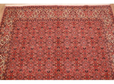 Persian carpet "Bidjar" oriental rug  242x200 cm