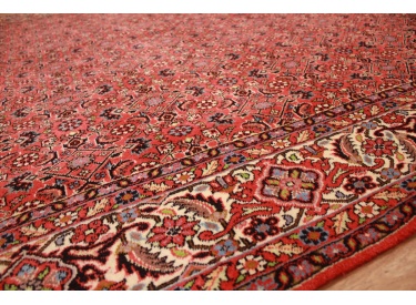 Persian carpet "Bidjar" oriental rug  242x200 cm