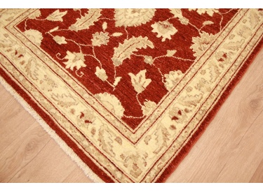 Ziegler carpet modern virgin wool Red 159x94 cm