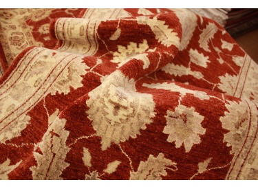 Ziegler carpet modern virgin wool Red 159x94 cm
