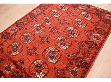 Perserteppich Bukhara wollteppich online kaufen bei teppich.com