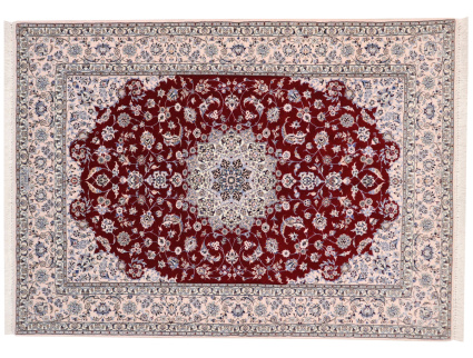Nain Habibian Rot