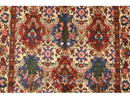 bakhtiar_teppiche_kaufen_8_184523152