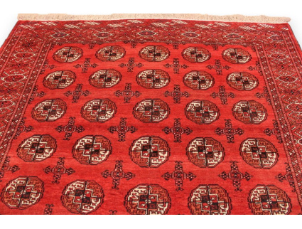 Turkmene Wolle 278x207cm