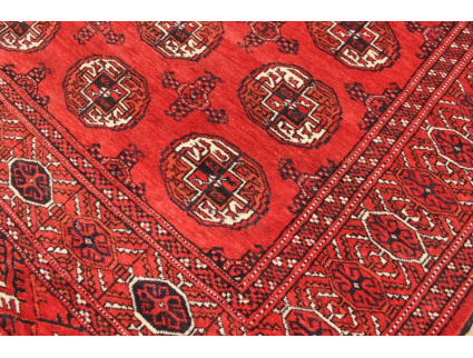 Turkmene Wolle 278x207cm