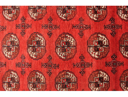 Turkmene Wolle 278x207cm