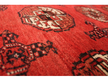 Turkmene Wolle 278x207cm