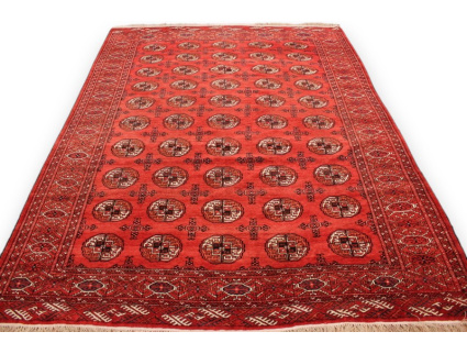 Turkmene Wolle 278x207cm