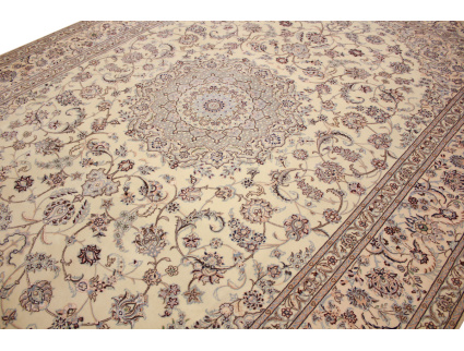 nain_6la_350x250_8