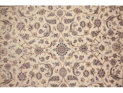 nain_6la_beige_8_1914037259