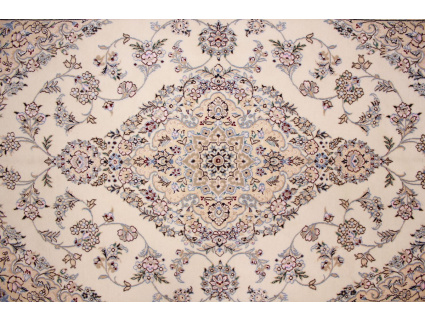nain_6la_habibian__150x100_9