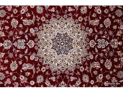 nain_6la_rot_9