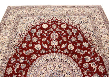 nain_habibian_rot_4
