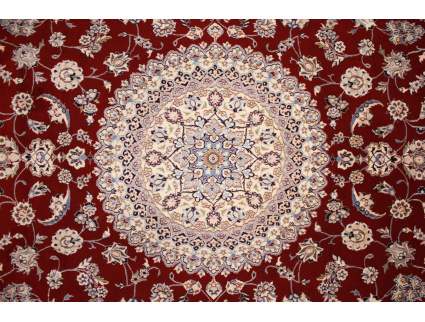 nain_habibian_rot_8