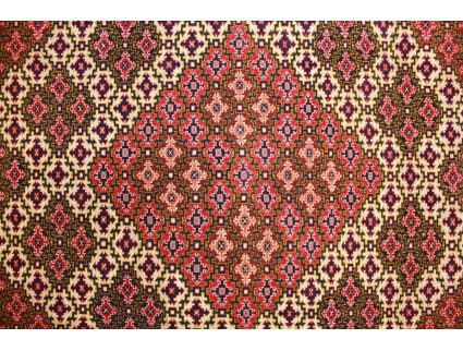 orientteppich_turkmen_8-photoroom