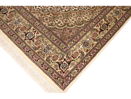 tabriz_mahi_laufer_5