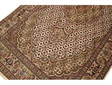 tabriz_mahi_laufer_6