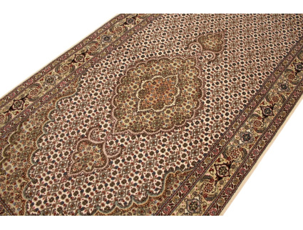 tabriz_mahi_laufer_7