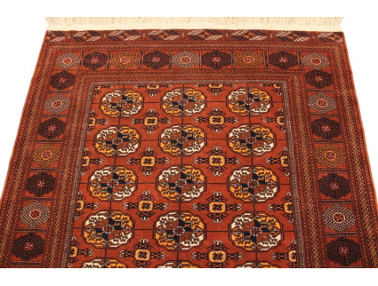 turkaman_3