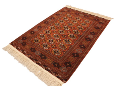 turkaman_4