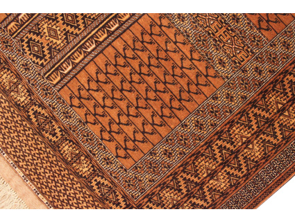 turkmene_hatschlu_6_656586981