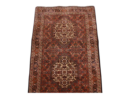 xl_laufer_bidjar_4