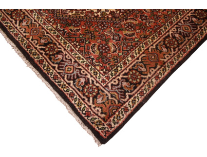 xl_laufer_bidjar_5
