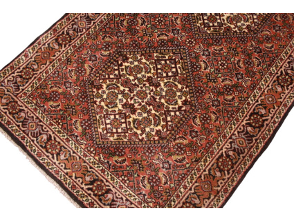 xl_laufer_bidjar_6