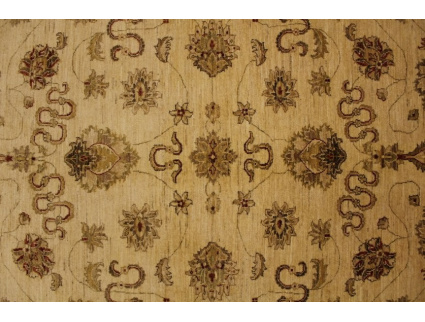 ziegler_beige_8_1970766631