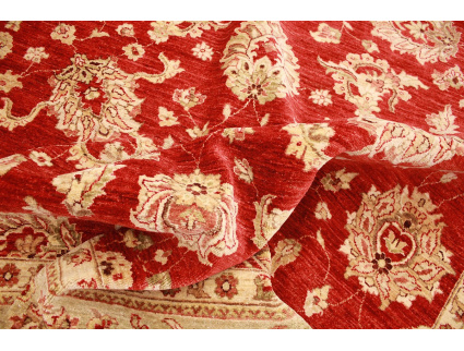 ziegler_rot_12_737022424