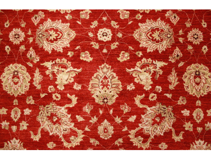 ziegler_rot_8_2022869650